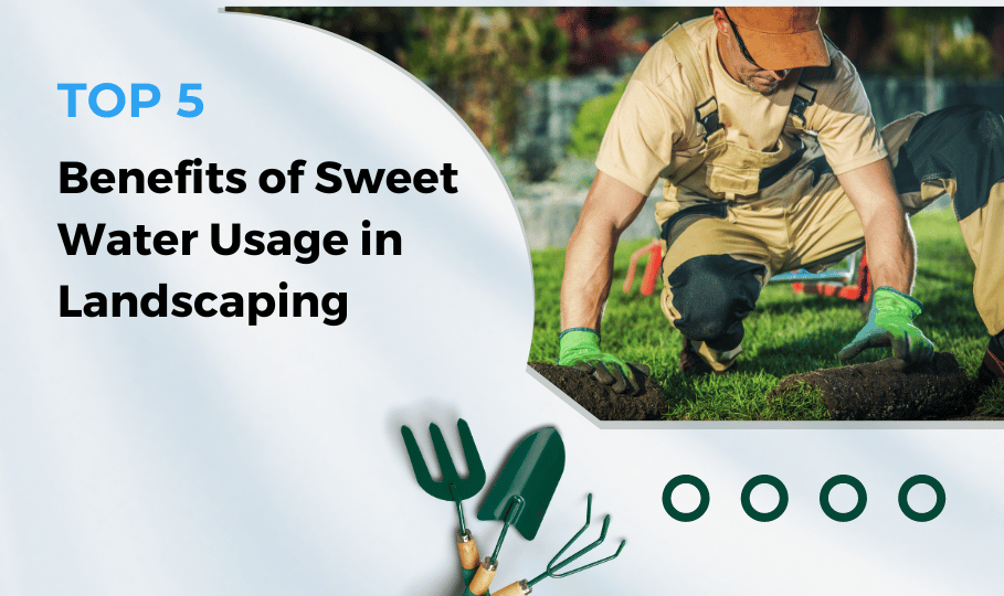 https://www.sttransport.ae/wp-content/uploads/2023/04/Top-5-Benefits-of-Sweet-Water-Usage-in-Landscaping-909x540.png