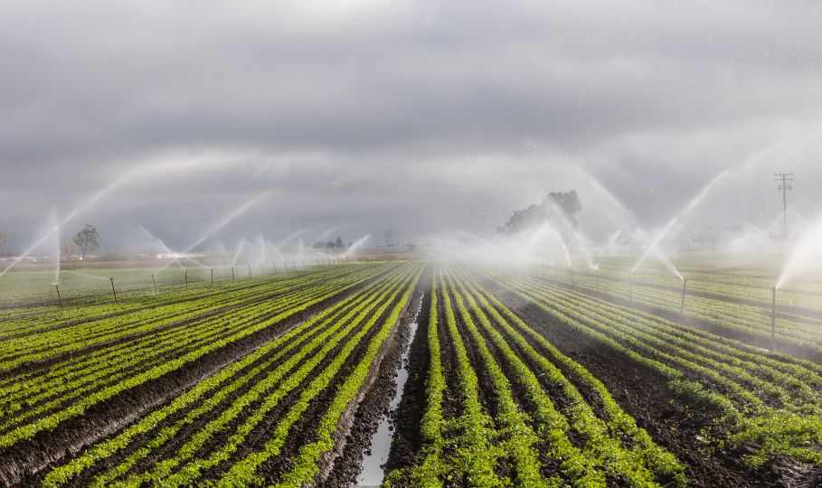 Irrigation and Landscaping water supply