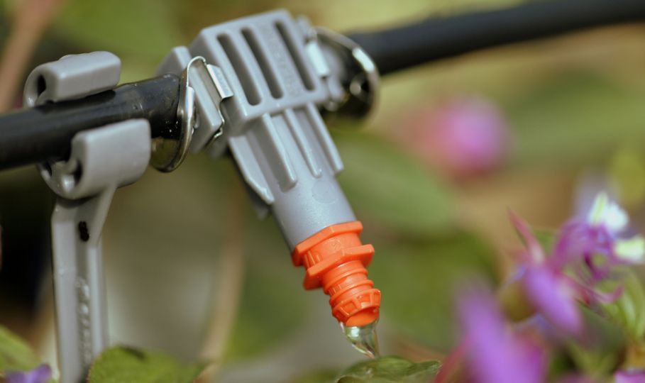 drip irrigation