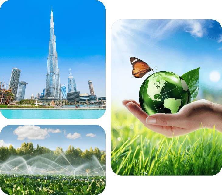 Why Is Sustainable Waste Management Integral for Dubai